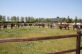 /album/menrit-04-06-2011/a06-04-2011-130-jpg/